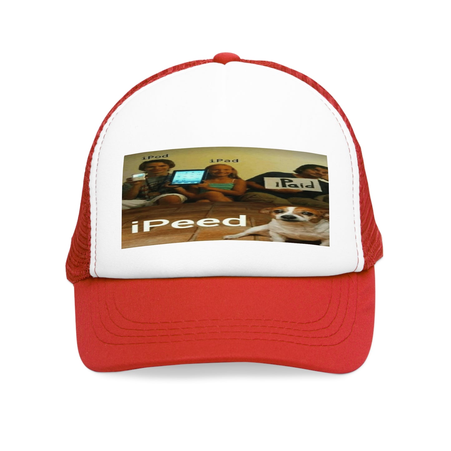 IPod IPad IPaid Hat