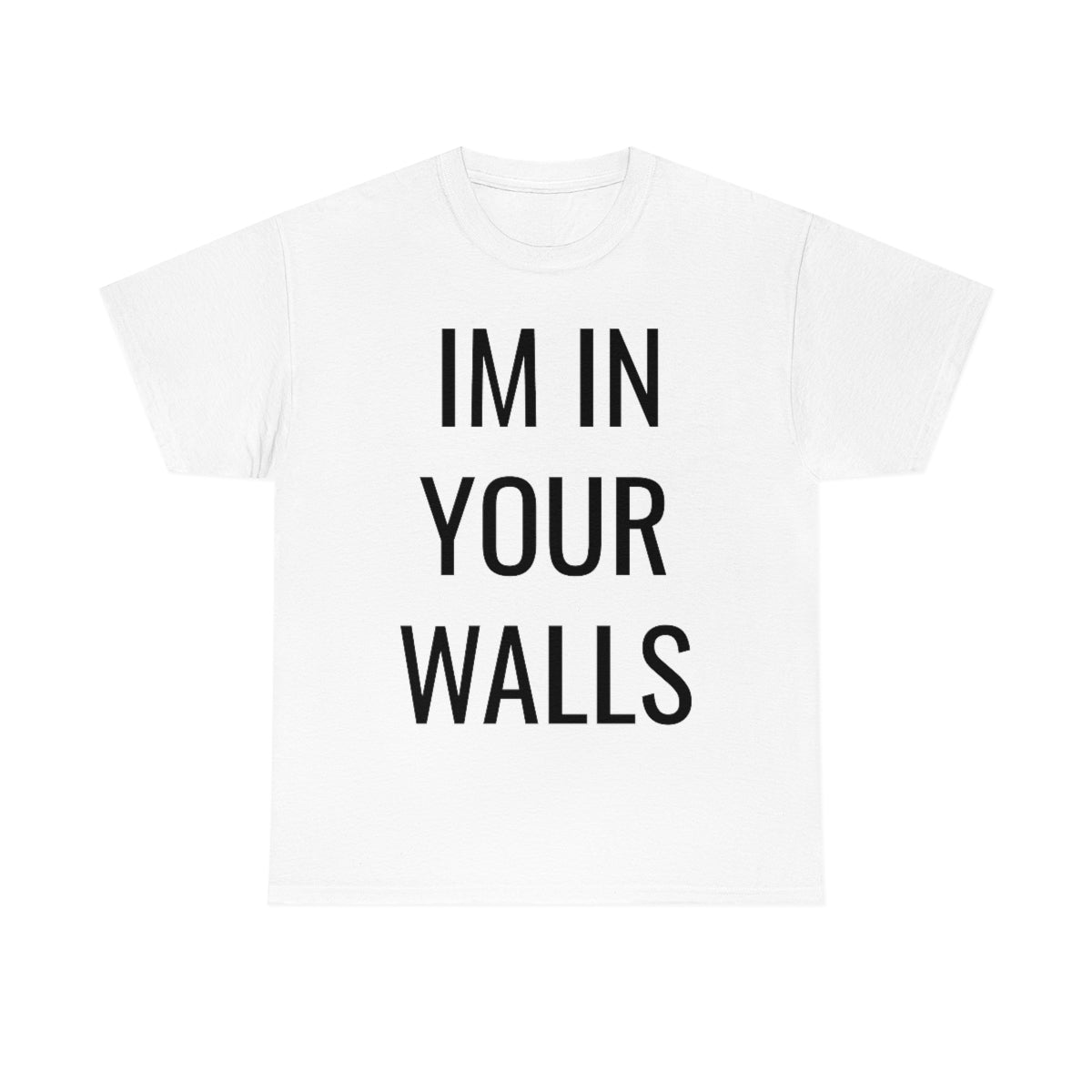 IM IN YOUR WALLS T-SHIRT